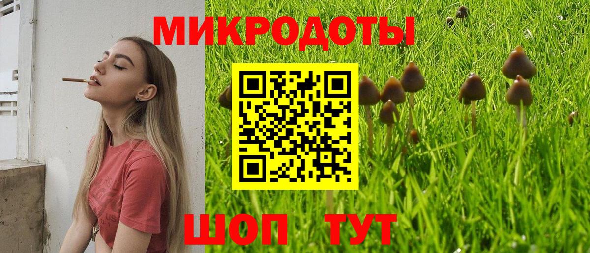 Галлюциногенные грибы Cubensis Тельмана