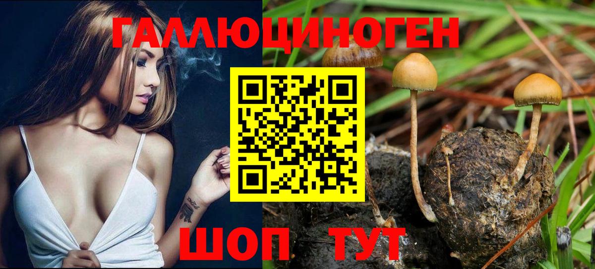 Псилоцибиновые грибы Magic Shrooms  Галлюциногенные грибы ЛСД  Вход с VPN  Тельмана 